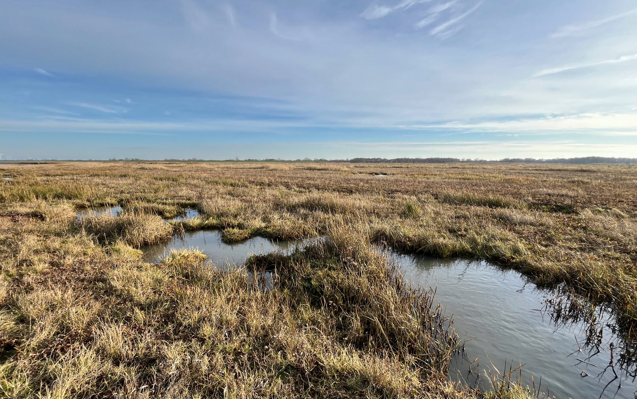 Ferienhaus an der Nordsee buchen
